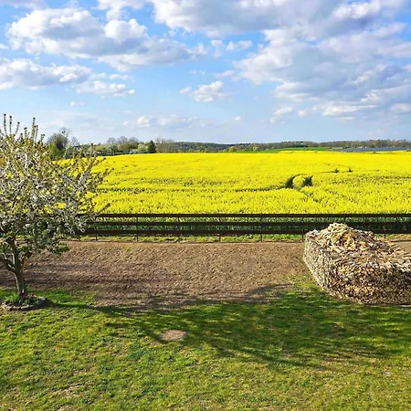 Apartment Ferienwohnung Woldegk *